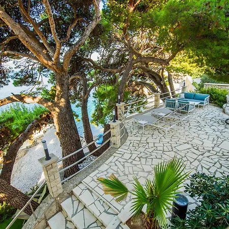 Apartament Medici