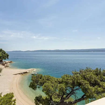 Medici * Omis